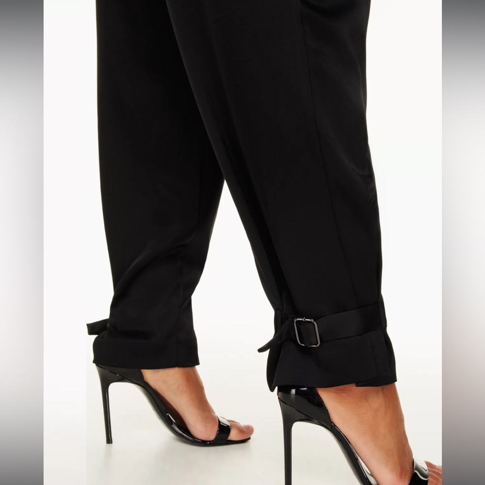 Aritzia Babaton Silky Refined Cargo Pants - Picture 4 of 5